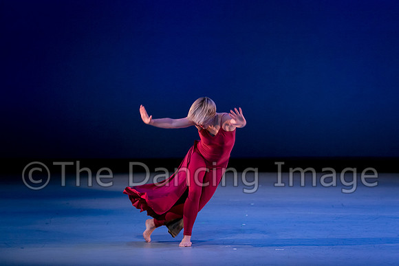 Houston METdance-3099