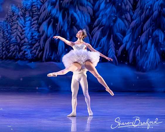 CCBT Nutcracker 19 pc Sharen Bradford-4927