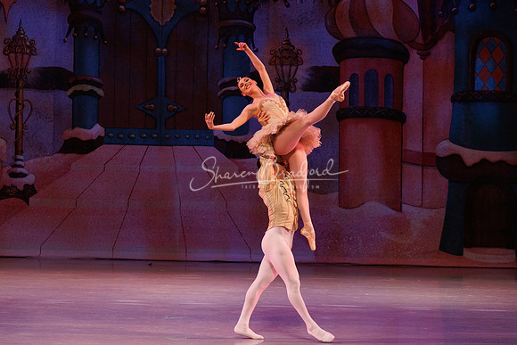 CPA Nutcracker 11-26-23 pc Sharen Bradford-9146