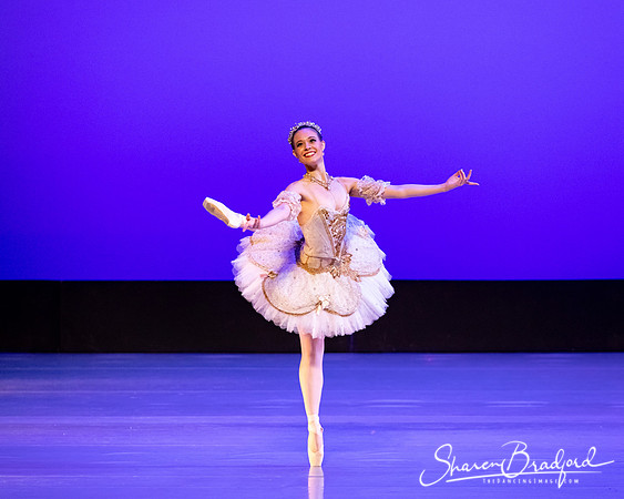 TBT Sleeping Beauty Pas pc Sharen Bradford-1547