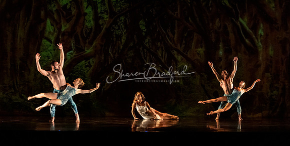 MOMIX Alice pc Sharen Bradford-0905