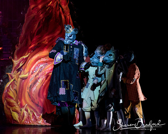 Nutcracker matinee pc Sharen Bradford-4796