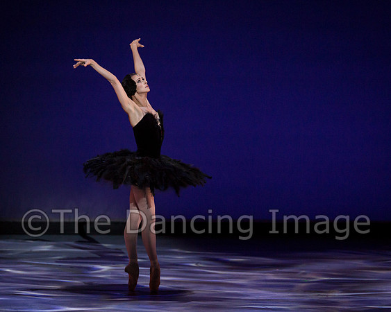 Olga Pavlova_The Dying Swan-3855