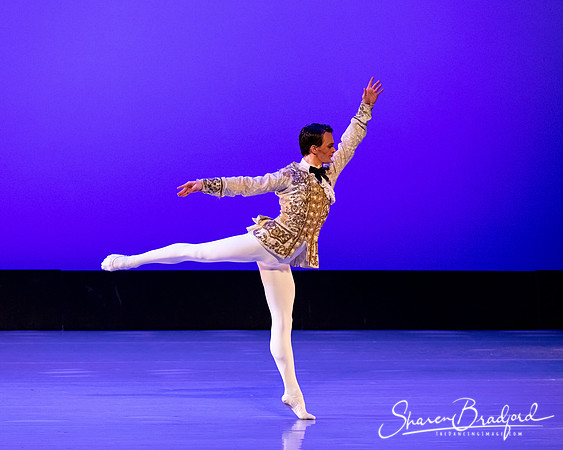 TBT Sleeping Beauty Pas pc Sharen Bradford-1480