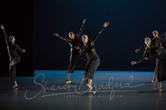 Beyond the Cover pc Sharen Bradford-6826