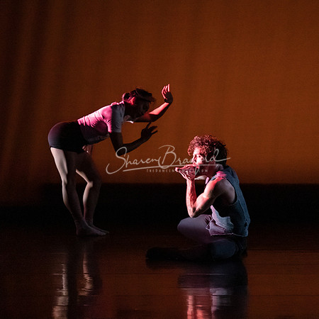 A Million Voices pc Sharen Bradford-0252