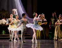 TB Sleeping Beauty Wed.-0024