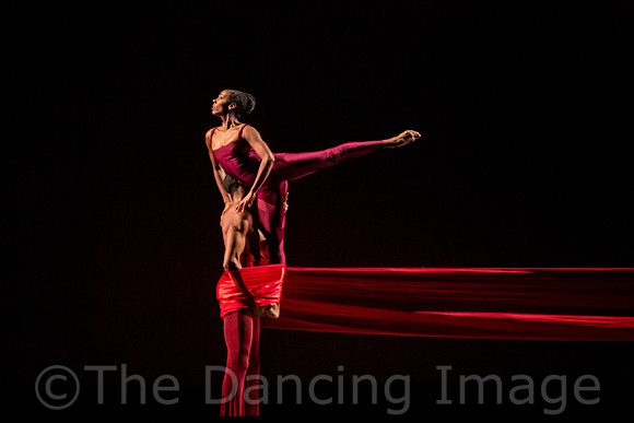 DBDT Encore-8710