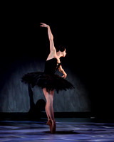 Olga Pavlova_The Dying Swan-3834