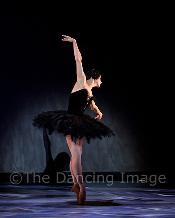 Olga Pavlova_The Dying Swan-3834