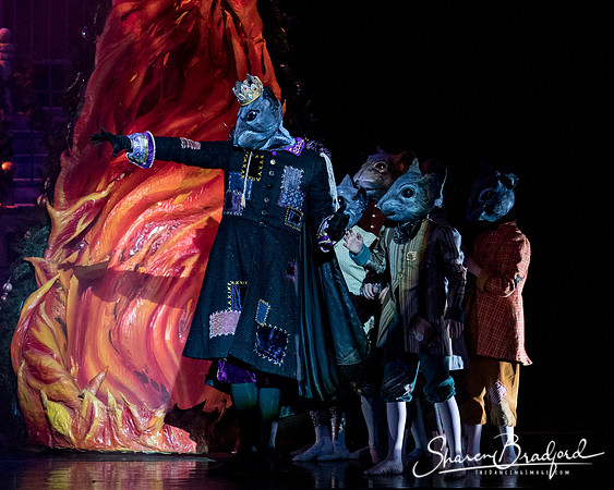 Nutcracker matinee pc Sharen Bradford-4797