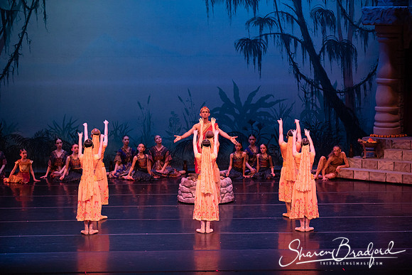 TDC La Bayadere pc Sharen Bradford-2445