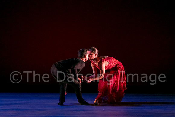 Chado Danse-2838