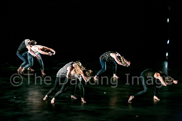 Jacksonville Dance Theatre-0258