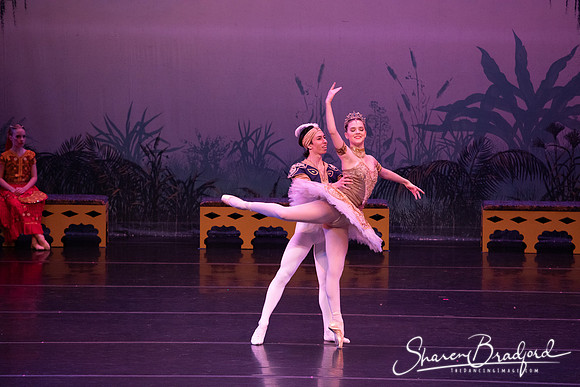TDC La Bayadere pc Sharen Bradford-3104