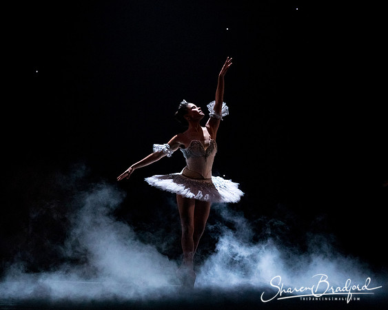 Nutcracker matinee pc Sharen Bradford-5001