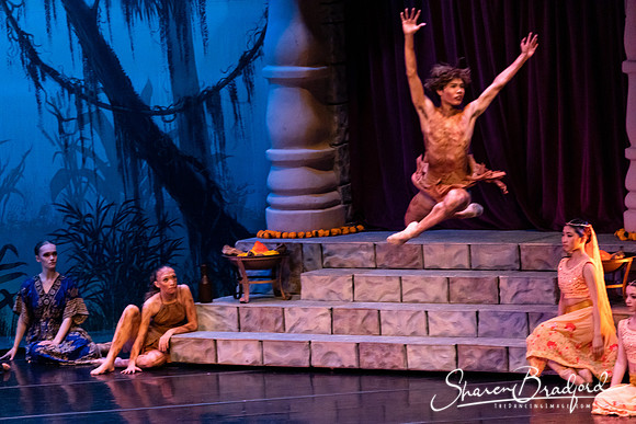 TDC La Bayadere pc Sharen Bradford-2478