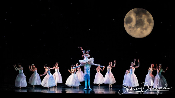 Nutcracker matinee pc Sharen Bradford-5187