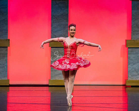 Ballet NTX Sleeping Beauty pc Sharen Bradford-0148