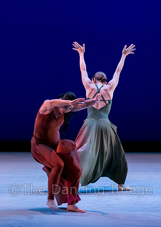 Houston METdance-3059