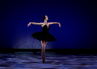 Olga Pavlova_The Dying Swan-3840