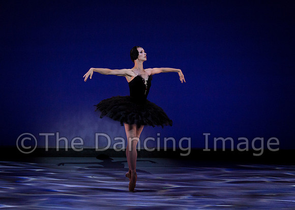 Olga Pavlova_The Dying Swan-3840