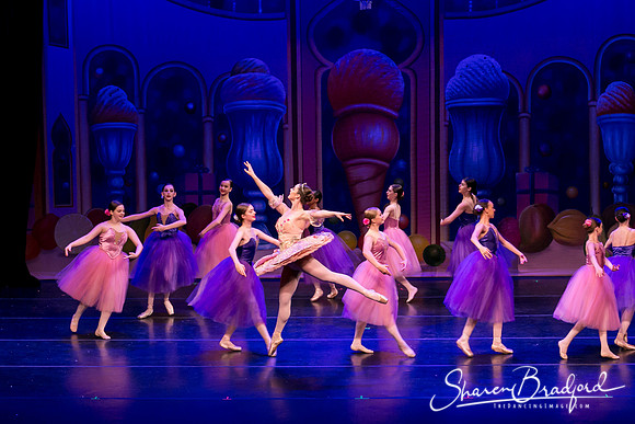 Waltz of the Flowers pc Sharen Bradford-1833