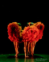 MOMIX Marigolds pc Sharen Bradford-0131