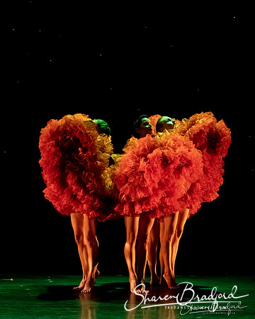 MOMIX Marigolds pc Sharen Bradford-0131