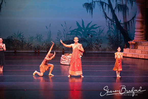 TDC La Bayadere pc Sharen Bradford-2419