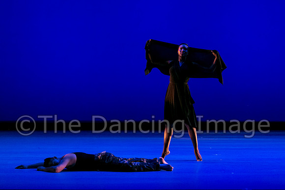 DBDT II-0830