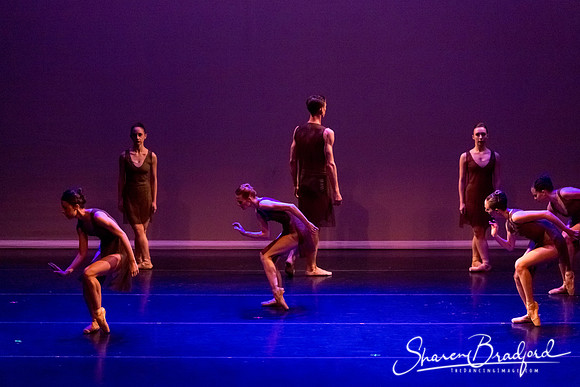 Ballet Dallas Seasons pc Sharen Bradford-1427
