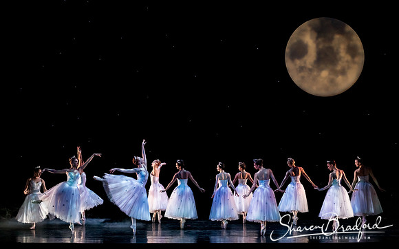 Nutcracker matinee pc Sharen Bradford-5077