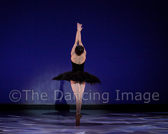 Olga Pavlova_The Dying Swan-3909
