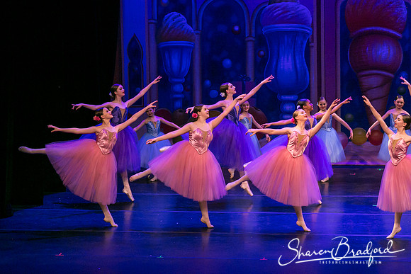 Waltz of the Flowers pc Sharen Bradford-1750
