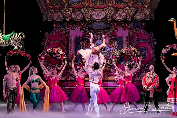 Nutcracker matinee pc Sharen Bradford-5307