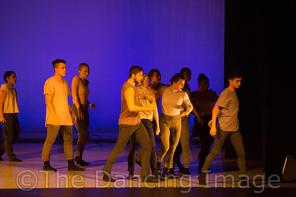 Coalescence in Progress-3265