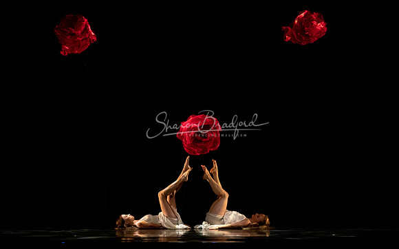 MOMIX Alice pc Sharen Bradford-1154