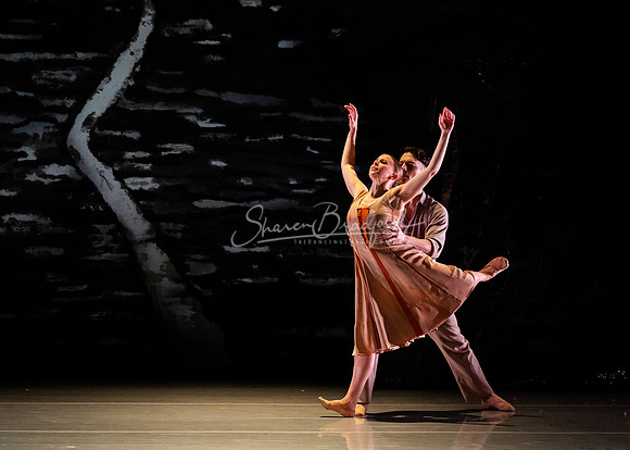 BWDD Wayfarers Song 11-15-24 pc Sharen Bradford-2641
