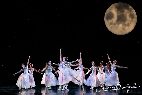 Nutcracker matinee pc Sharen Bradford-5198
