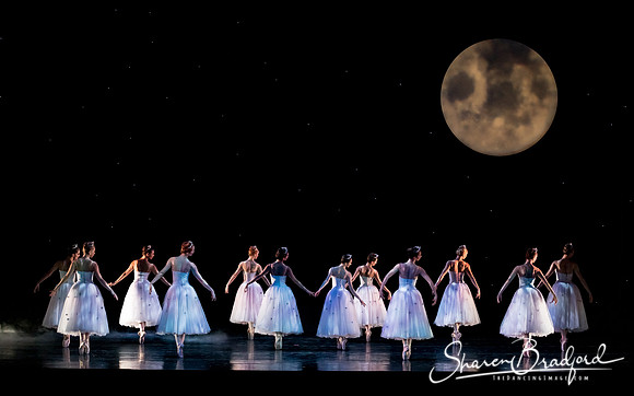 Nutcracker matinee pc Sharen Bradford-5073