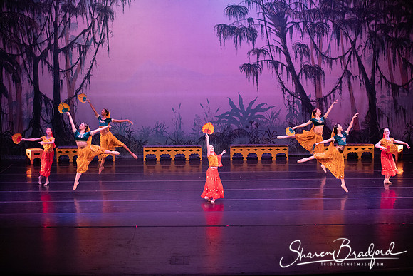 TDC La Bayadere pc Sharen Bradford-2862