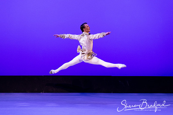 TBT Sleeping Beauty Pas pc Sharen Bradford-1508