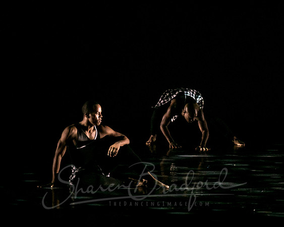 DBDT pc Sharen Bradford-2900