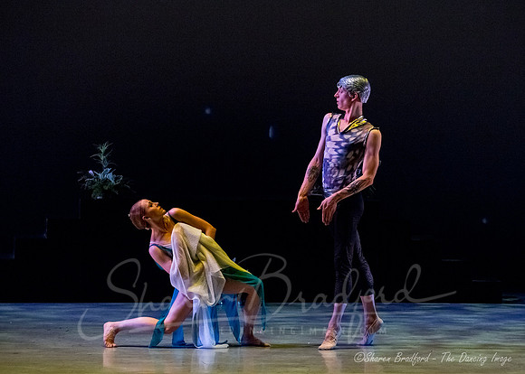 Afternoon of a Faun - pc Sharen Bradford-0879