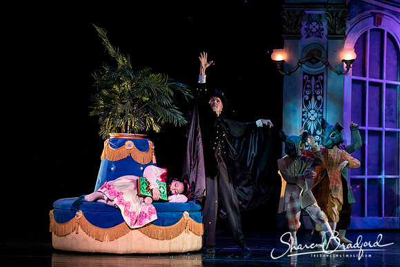 Nutcracker matinee pc Sharen Bradford-4682