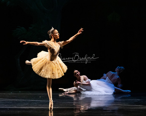 Ballet NTX Sleeping Beauty pc Sharen Bradford-1431