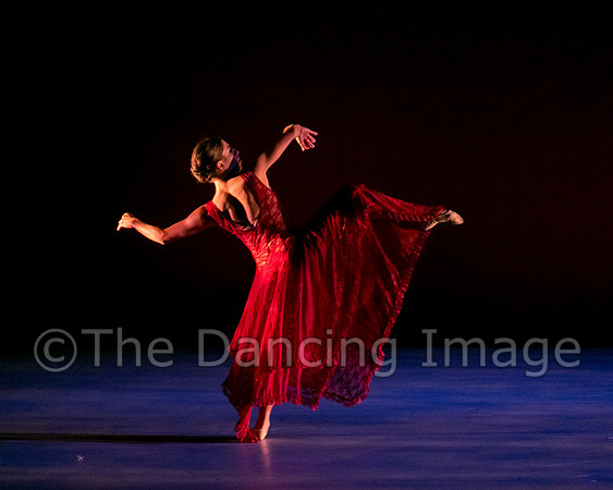Chado Danse-2861