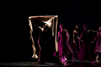 Dallas Ballet Company-1488