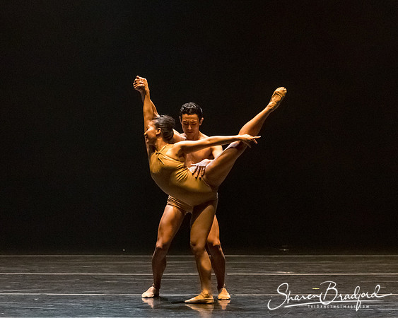 Bach 25_pc Sharen Bradford-2-47